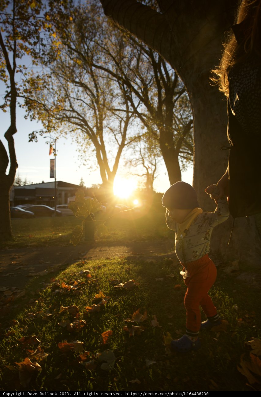 Golden Hour Serenity in Downtown Sonoma