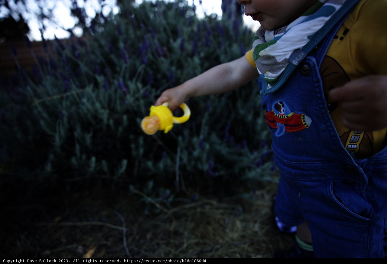 Joyous Days of Childhood
