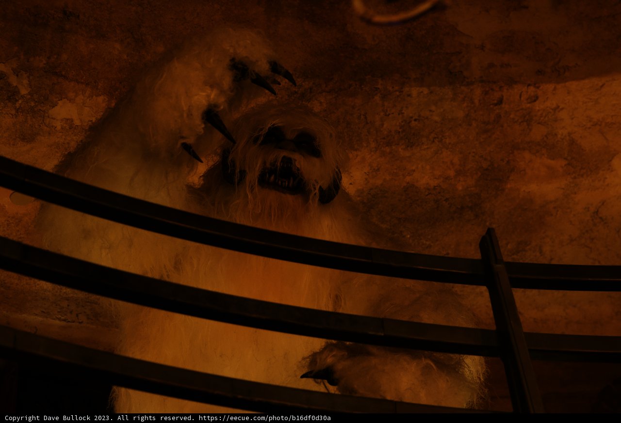 Captive Creature