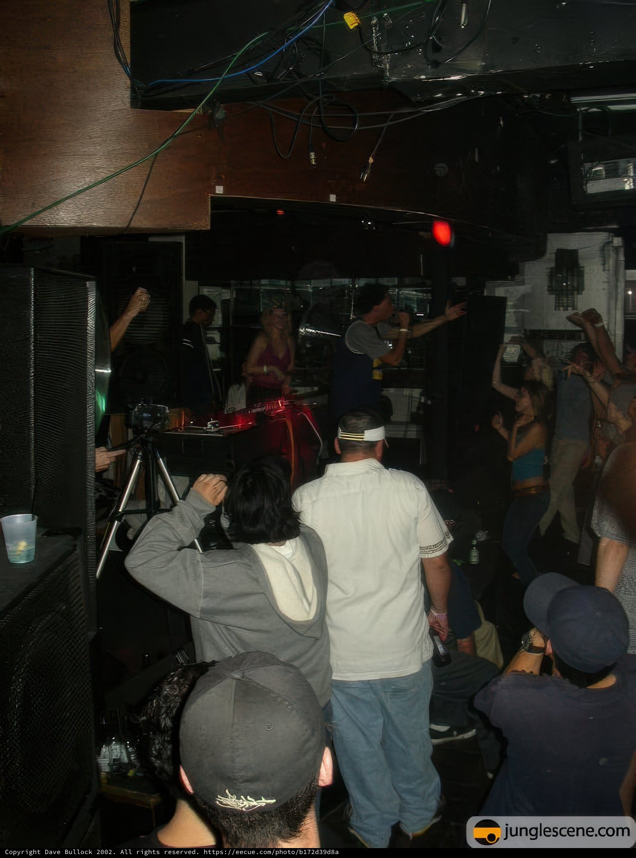 Nightclub Crowd with DJ