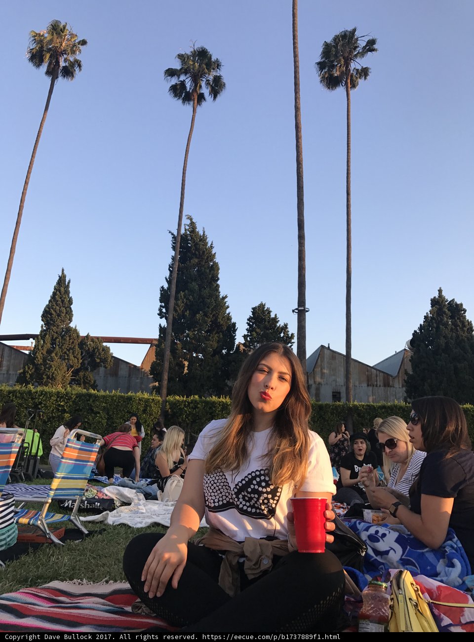 Summer Fun under the Palms