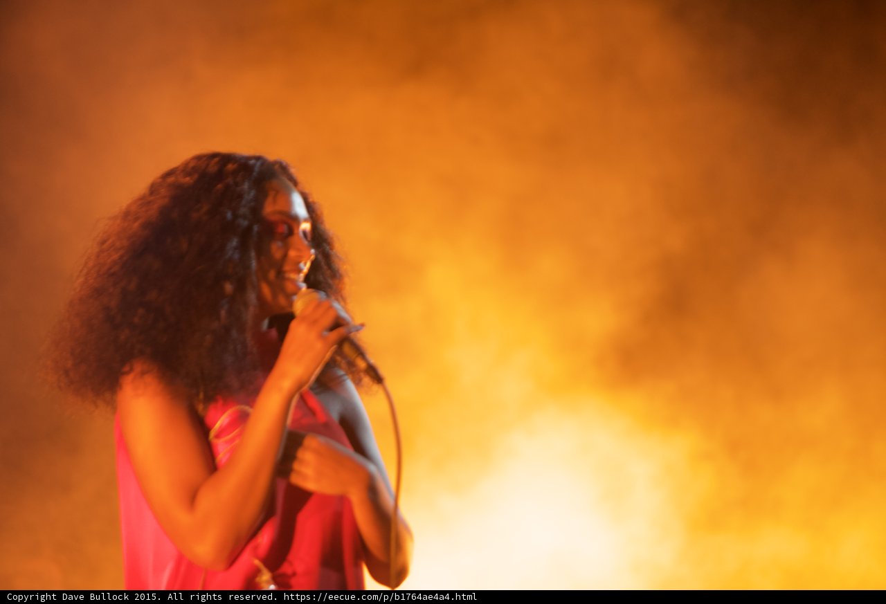 Solange Portrait Hair Covering Face Smiling Orange Glow