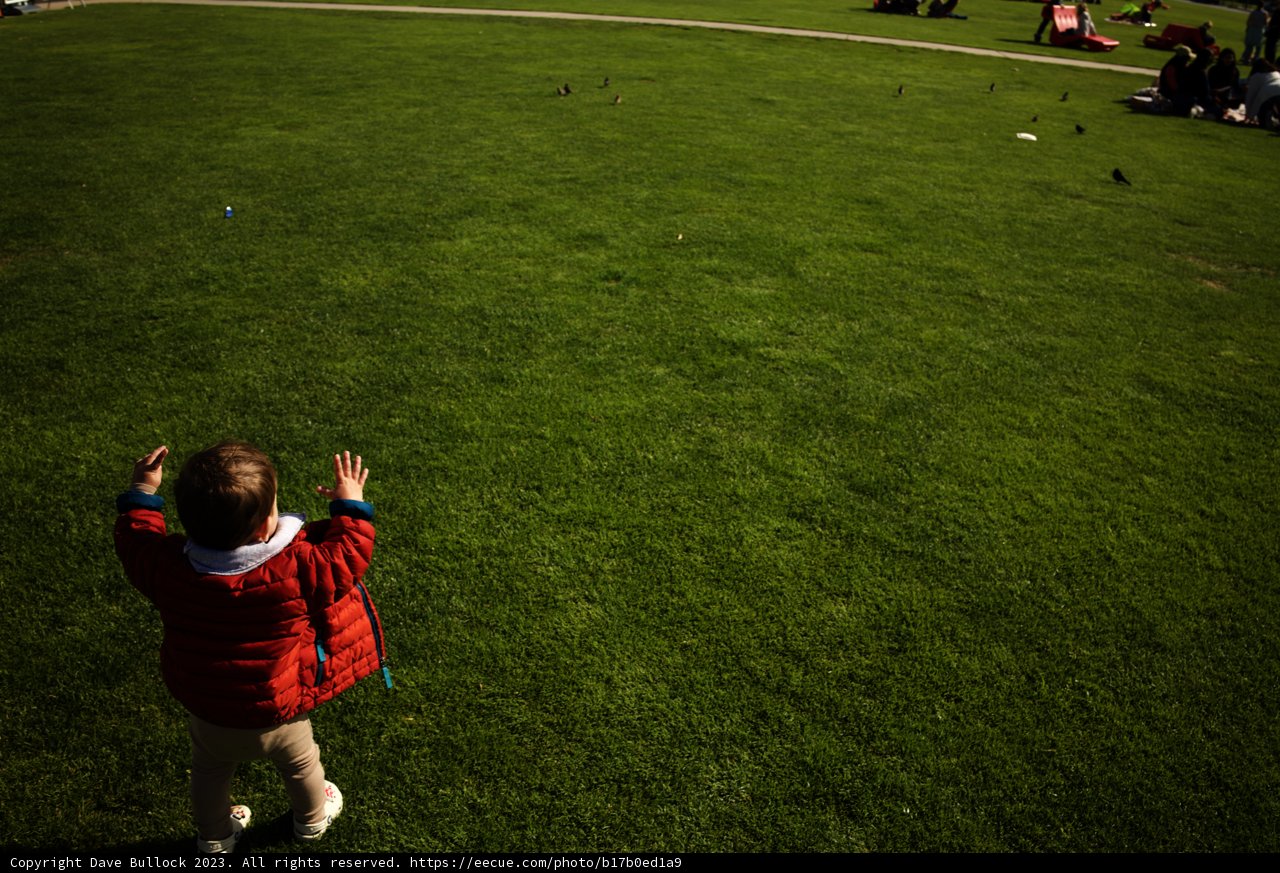 Joy in the Greens: Summer of 2023