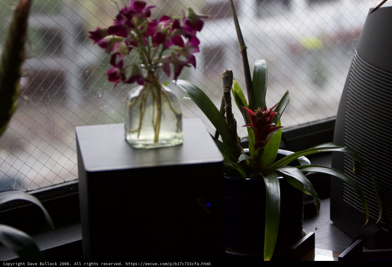 Floral Window Decor
