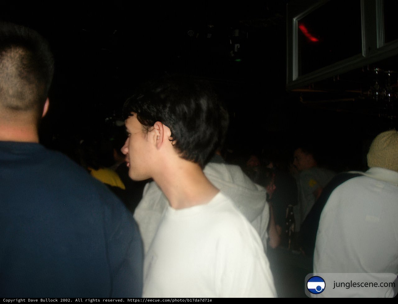 Night Club Crowd
