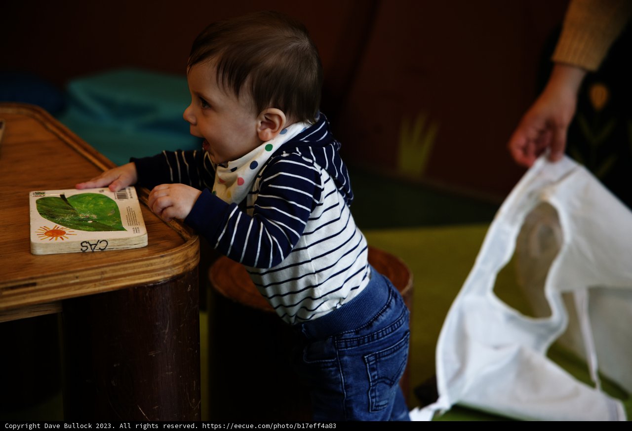Little Explorer at Play