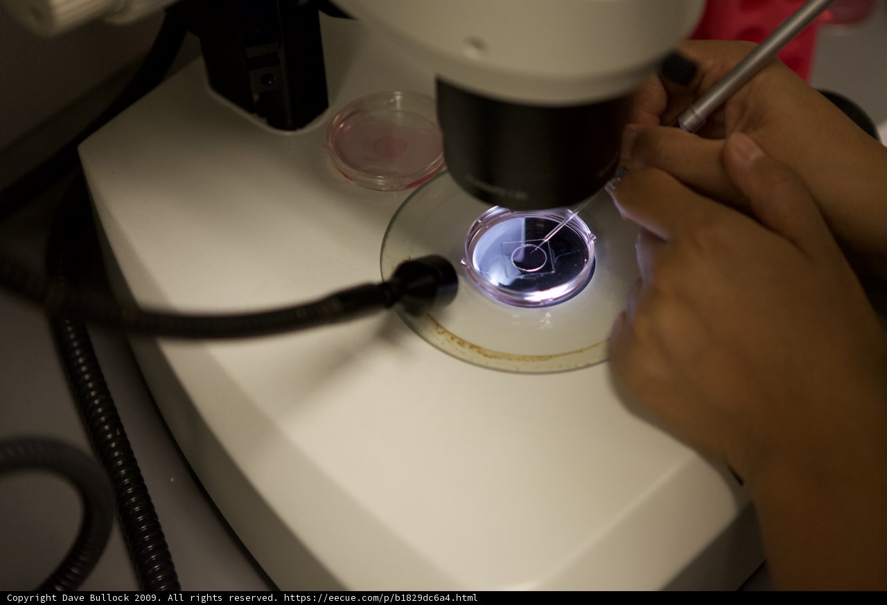 Exploring the Micro World