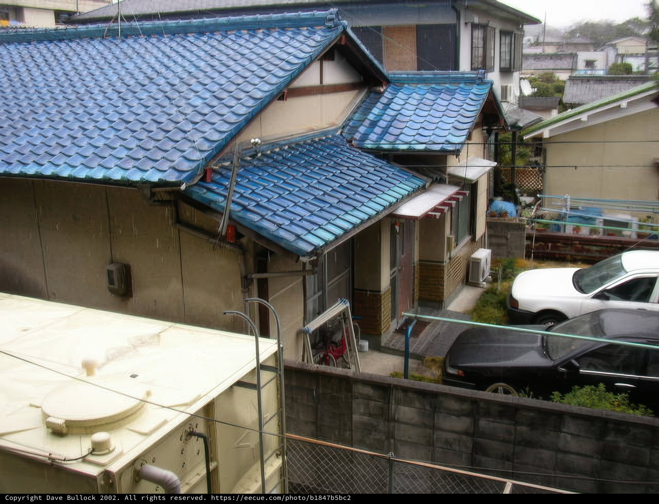 Blue Roofed Beauty