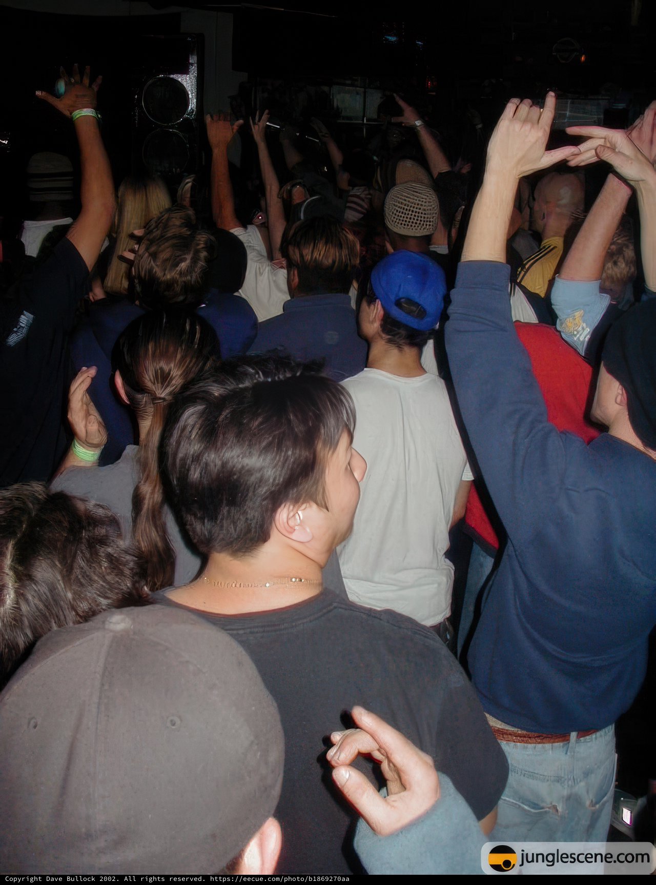 A Night of Disco and Fun