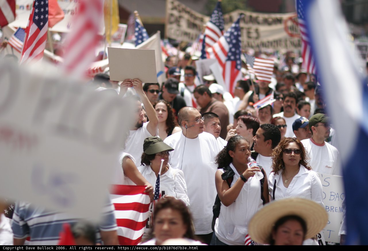 Patriotic Crowd