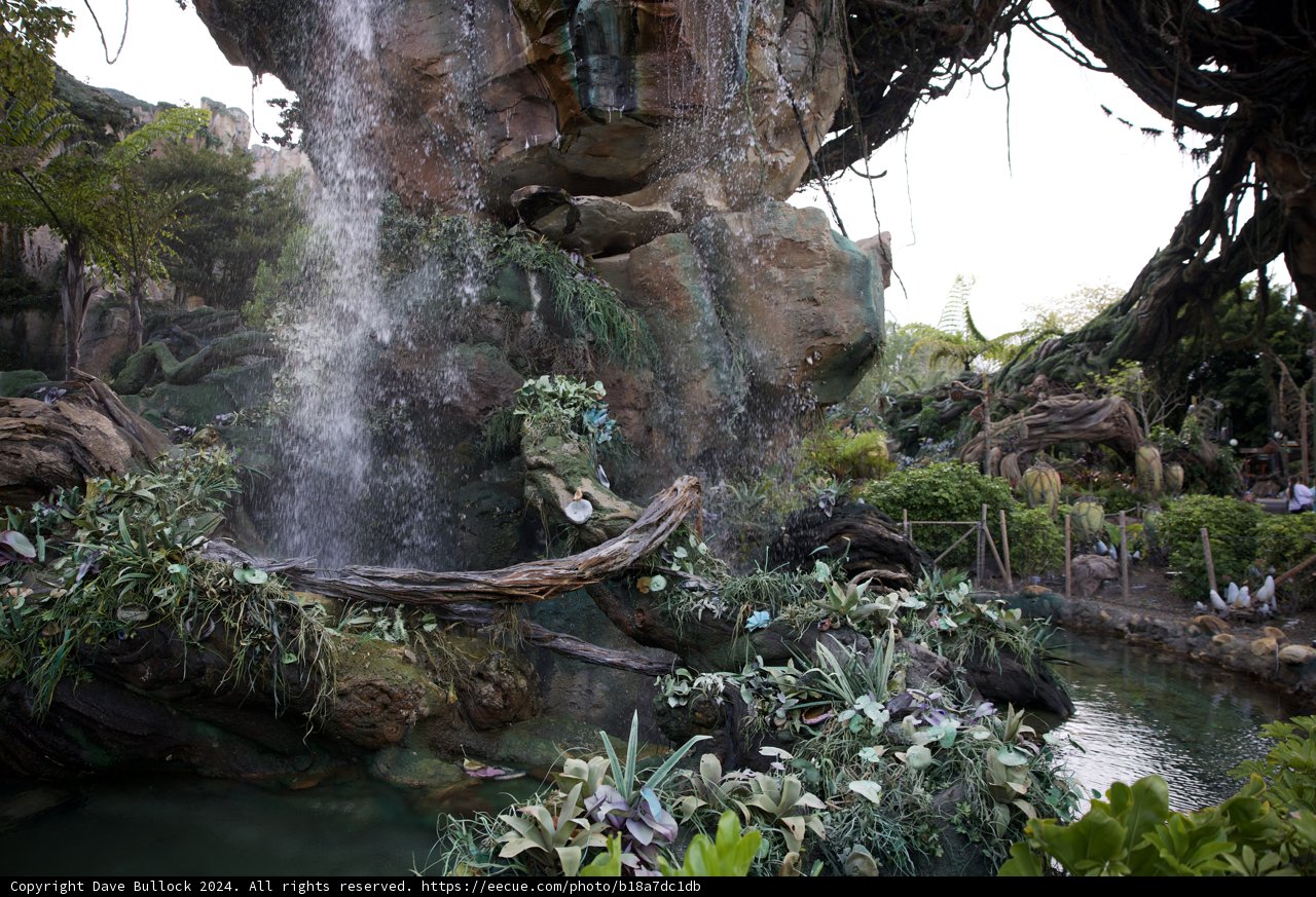 Unveiled Splendor: Disney's Animal Kingdom's New Water Feature 2024