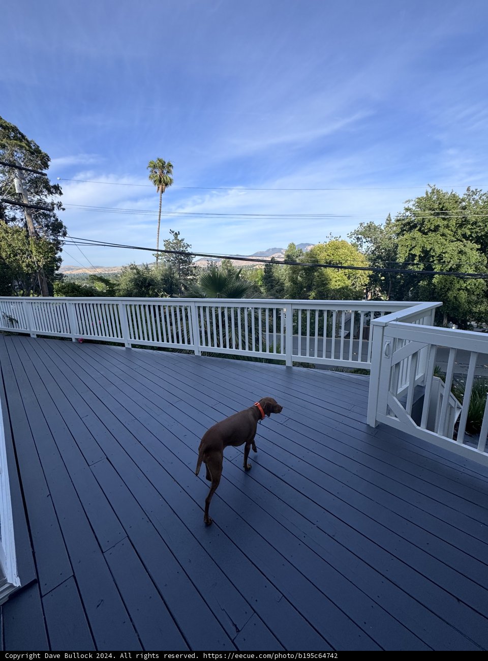 Serenity on the Deck