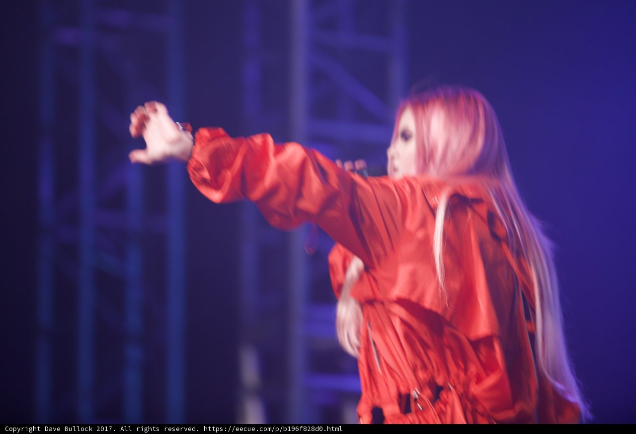The Red Queen Reigns Supreme