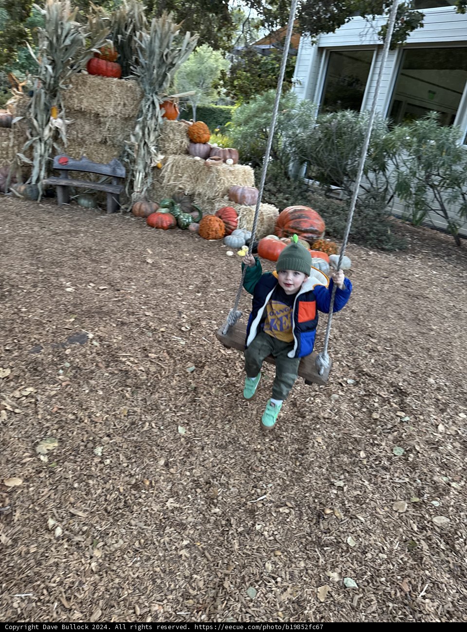 Autumn Adventures