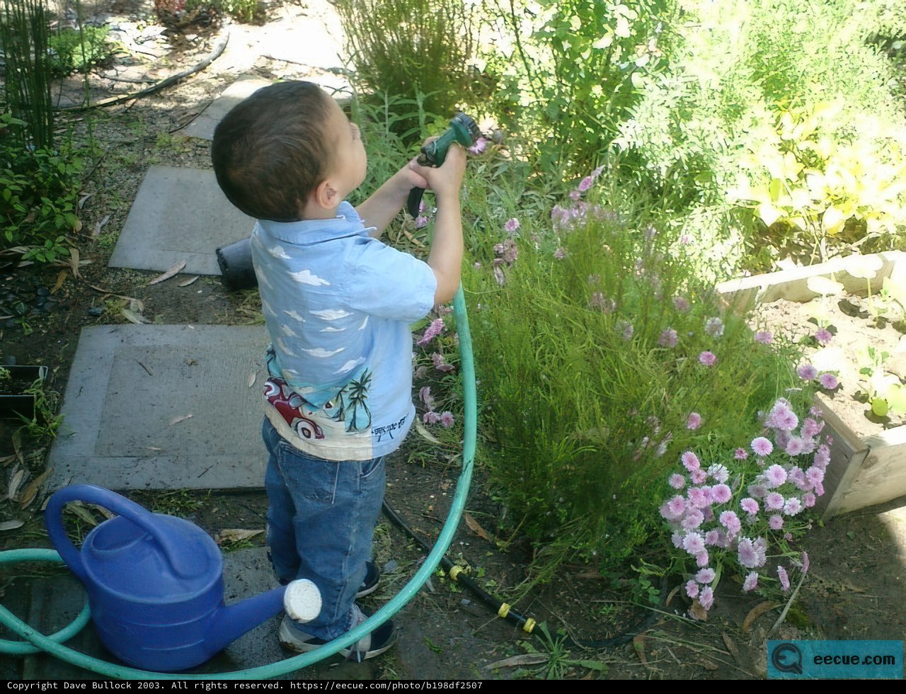 Gardening with a Young Boy in 2002