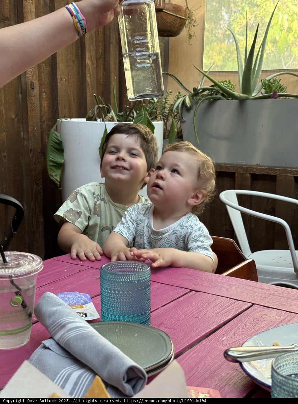 Curiosity at the Table