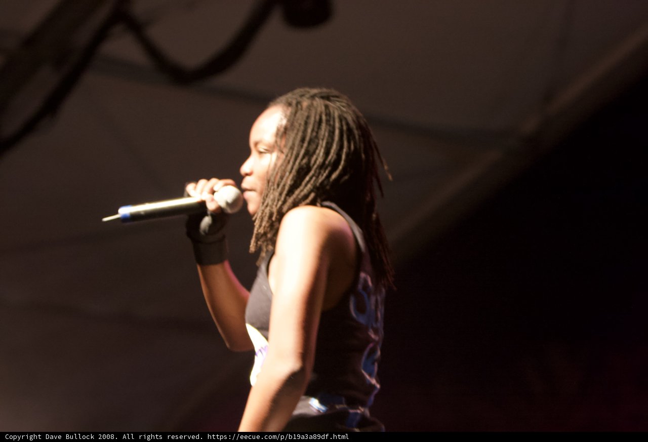 Electrifying Performance at Coachella