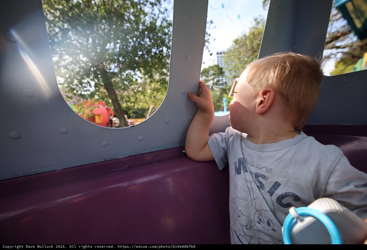 Young Child Gazing Through Playground Window