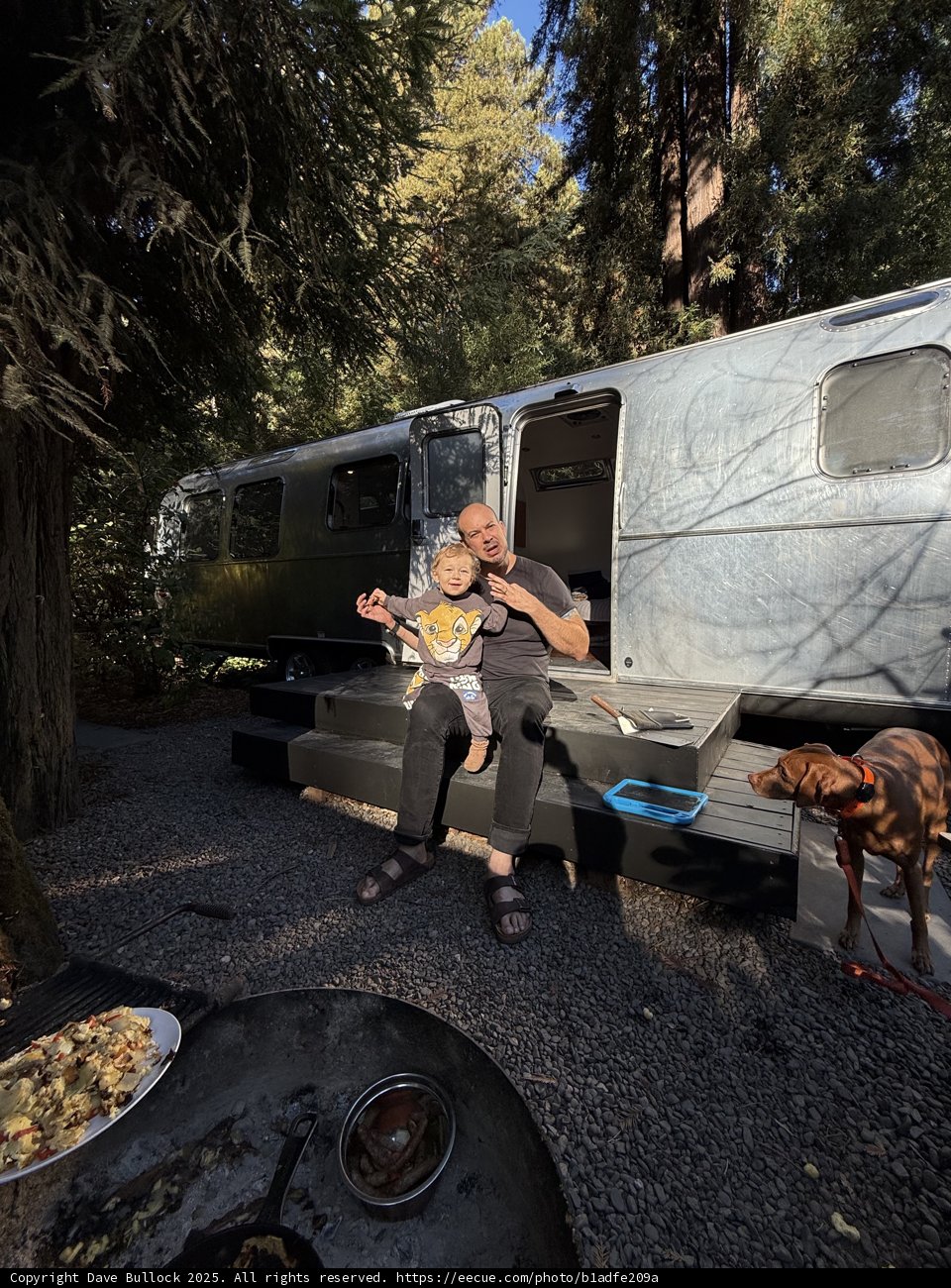 Caravan Harmony