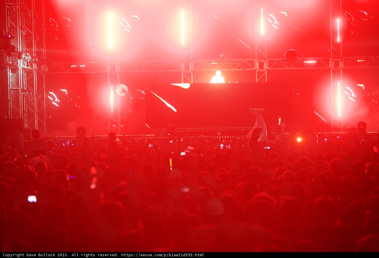 Rocking with the Crowd at Coachella