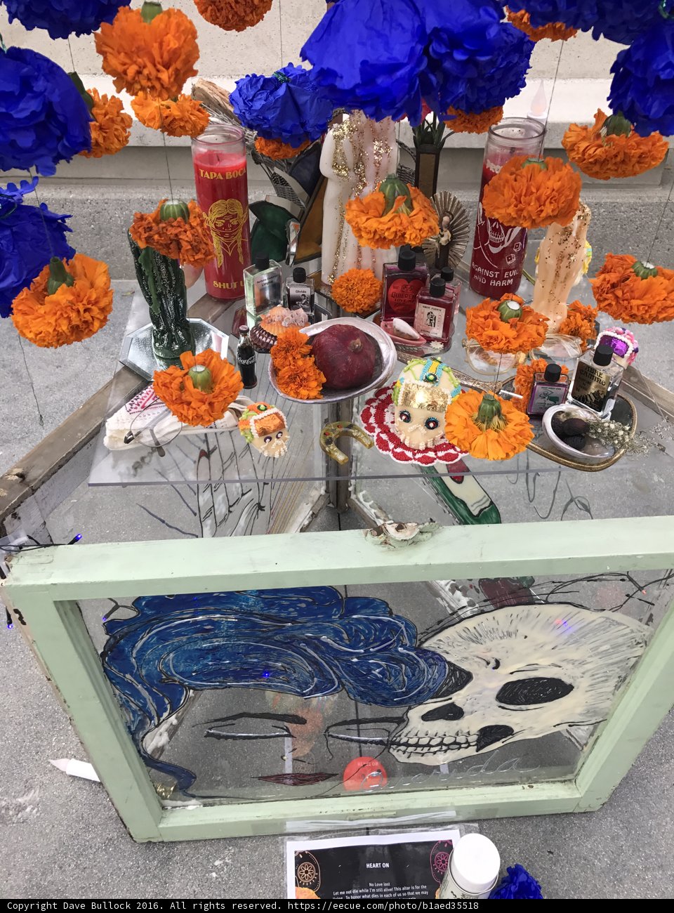 Window of Skull and Flowers