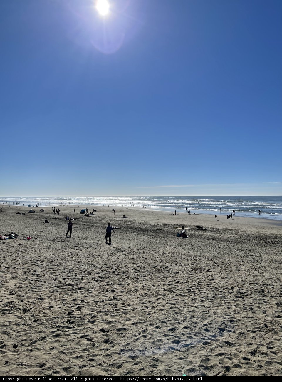 Fun in the Sun at Ocean Beach