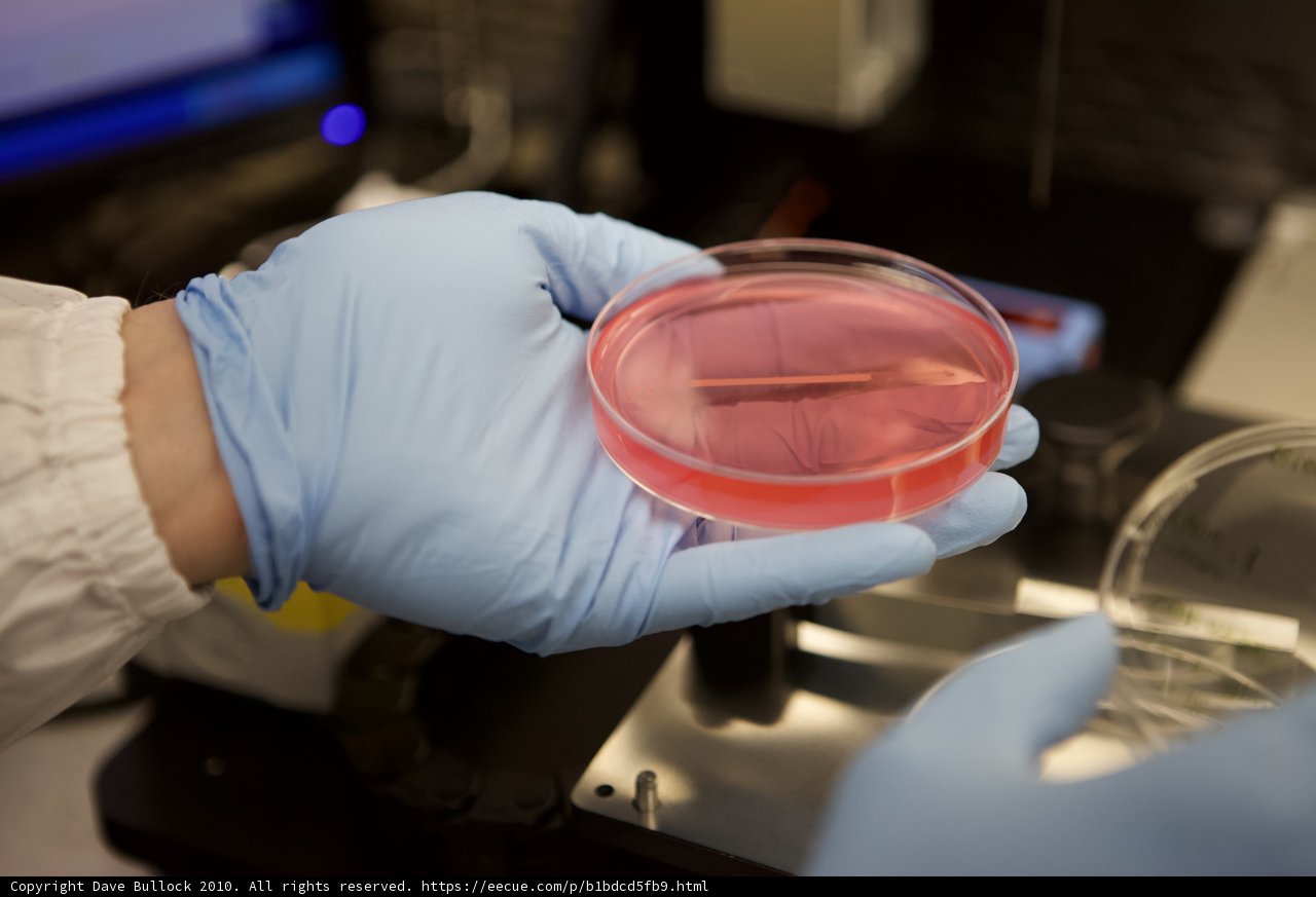 Conducting Experiments in the Lab