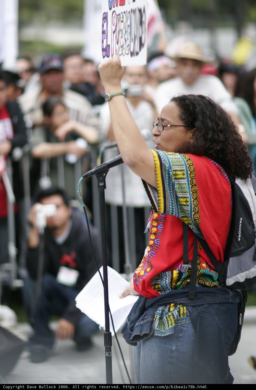 Student Protestor Expresses her Message to the Crowd