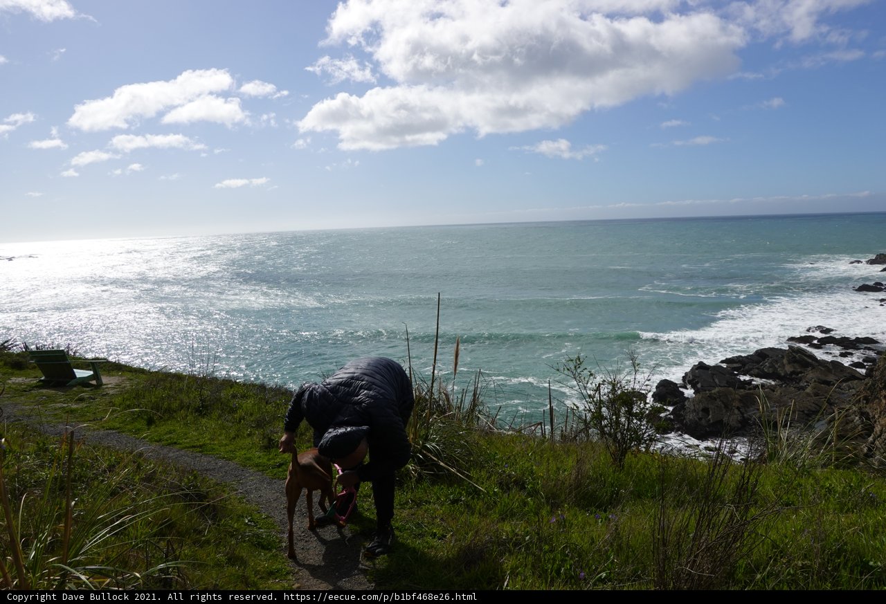 Coastal Hike with My Best Friend