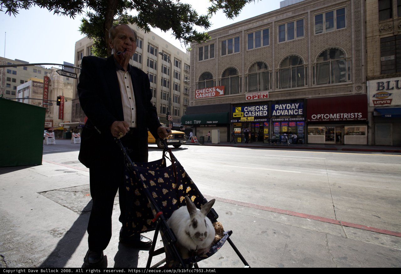 Man Takes His Dog for a Stroll in Style