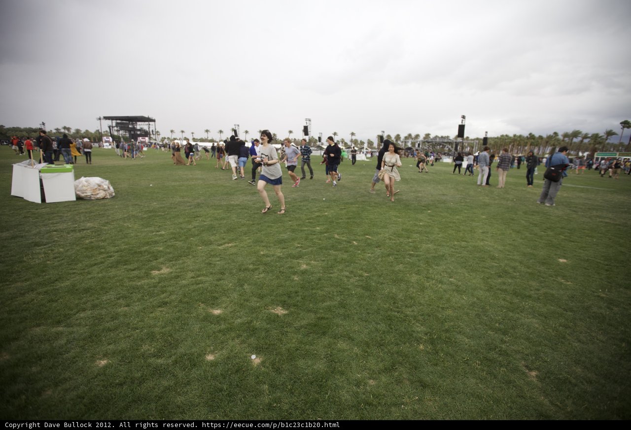 Festival Goers Enjoying a Sunny Day on the Grass