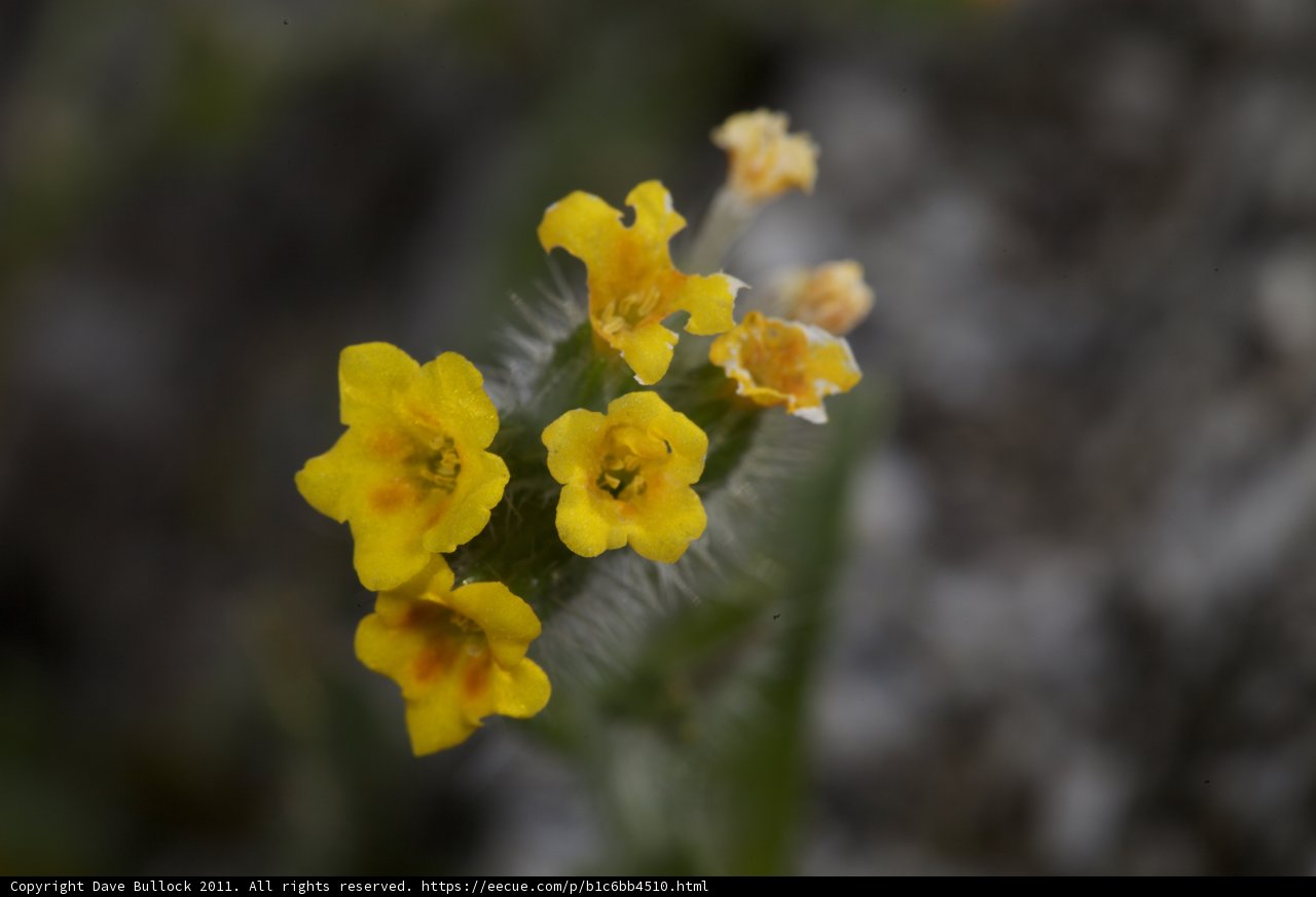 Sunshine on the Rocks