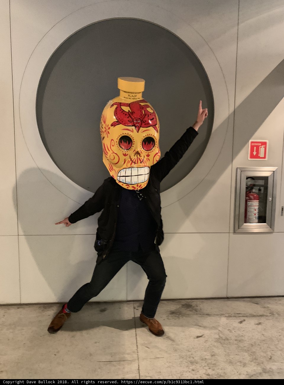 Sugar Skull Man
