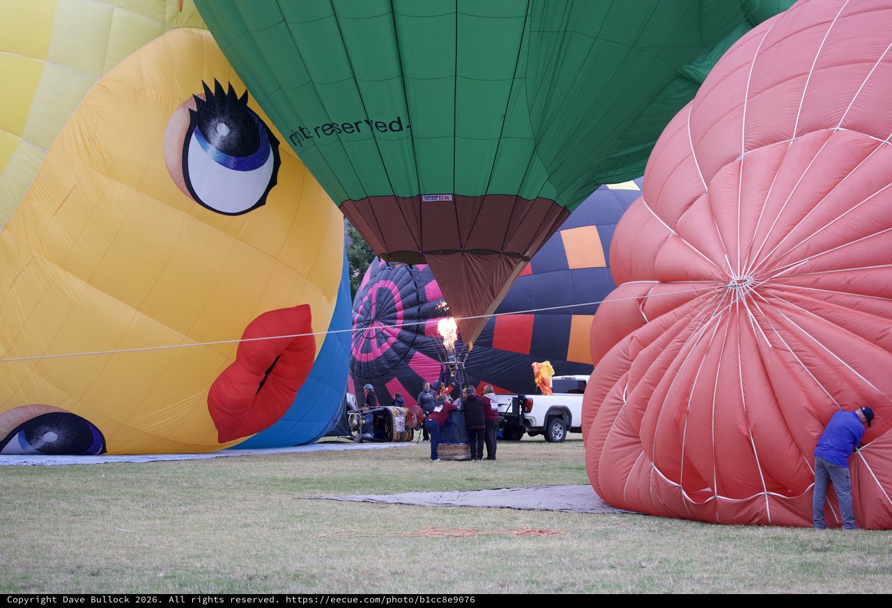 Hot Air Balloons Inflate at Sonoma County Classic
