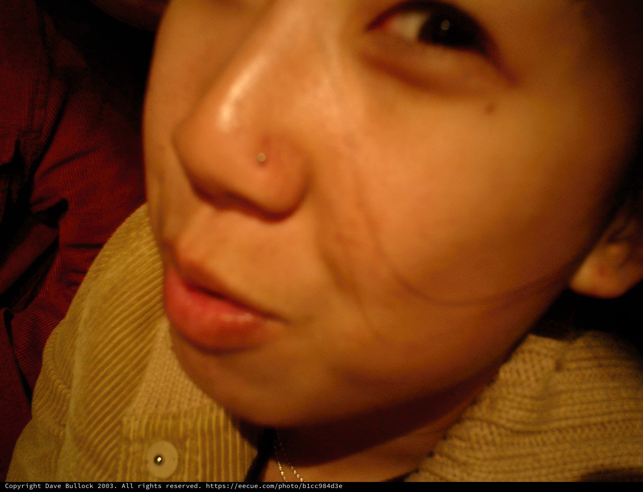 Pierced Beauty