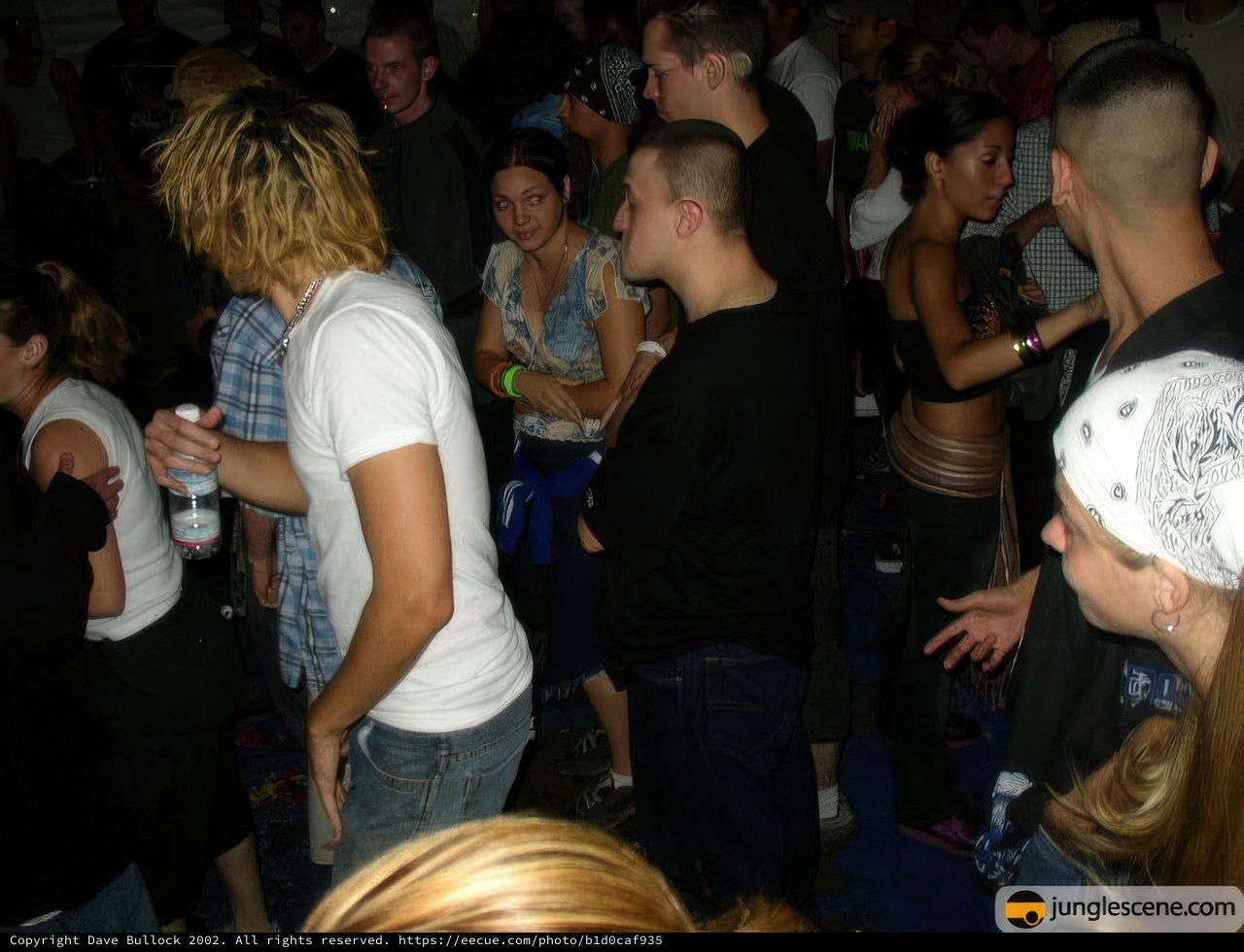 The Nightclub Crowd on the Dance Floor