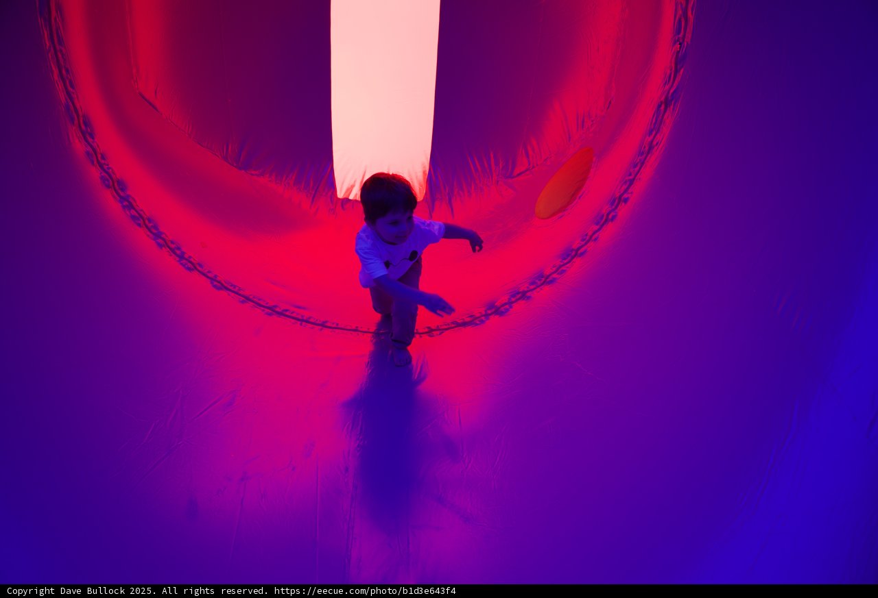 Joyful Adventure in a Purple Wonderland