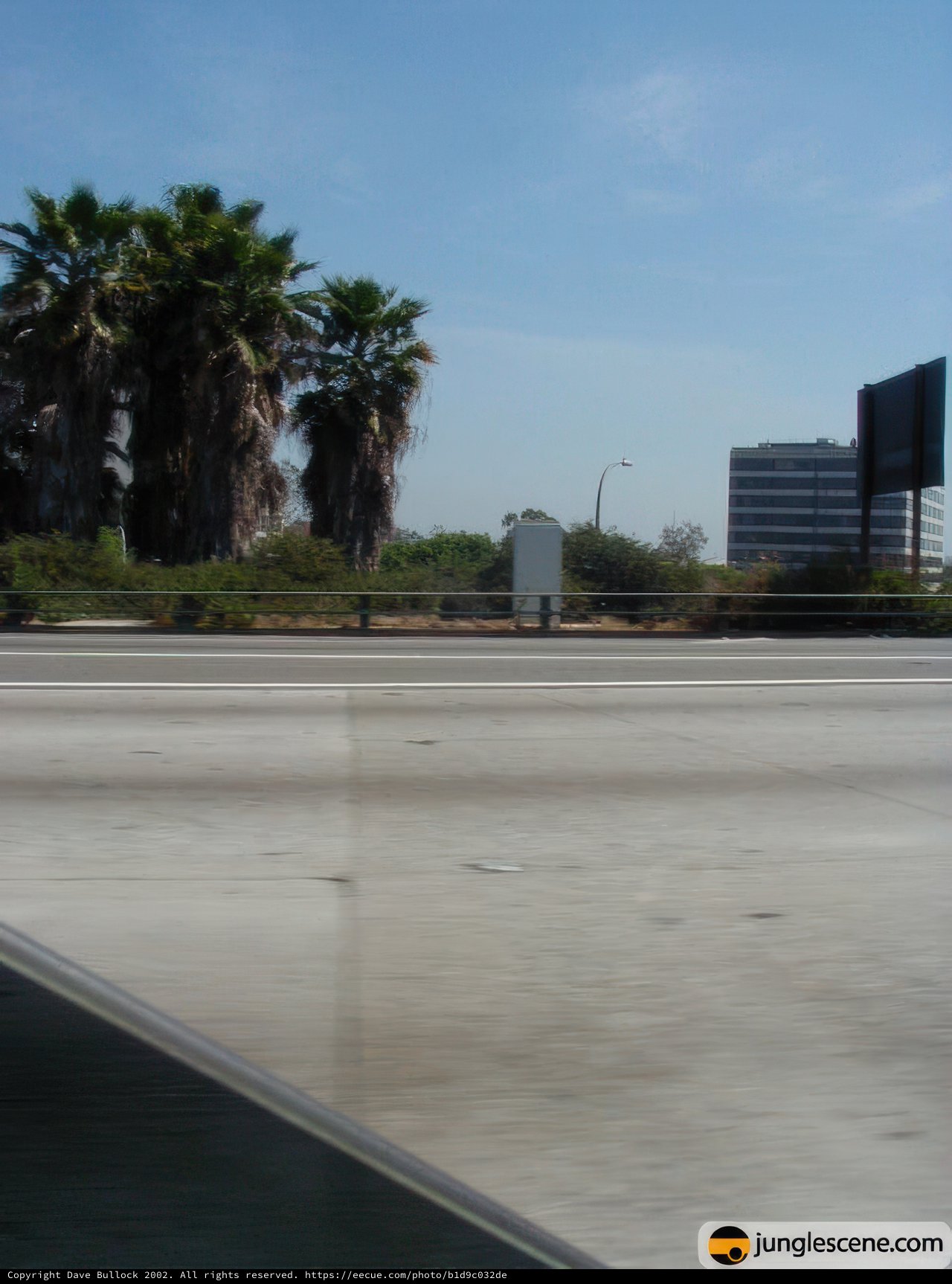 Freeway Drive with Palm Trees