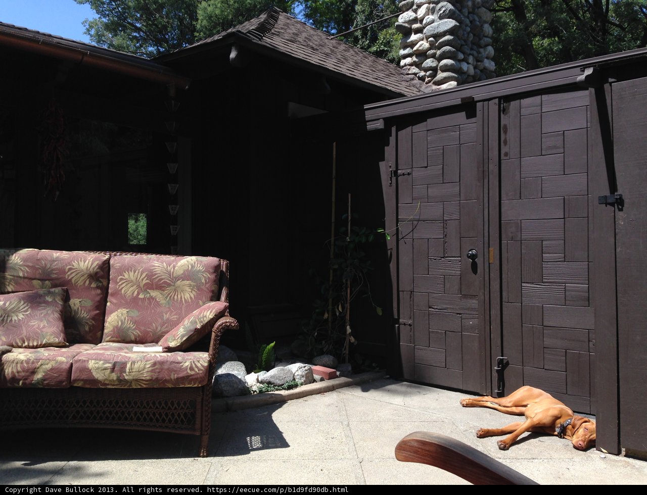 Canine Comfort in the California Sun