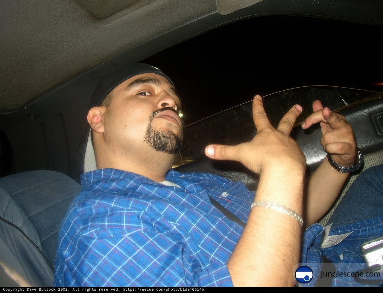 Hands Up in the Back Seat