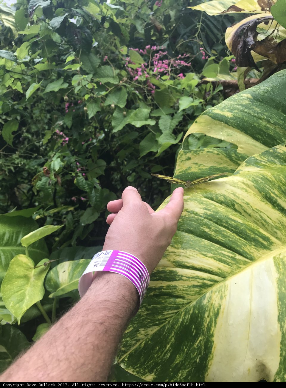 Touching Nature's Veins