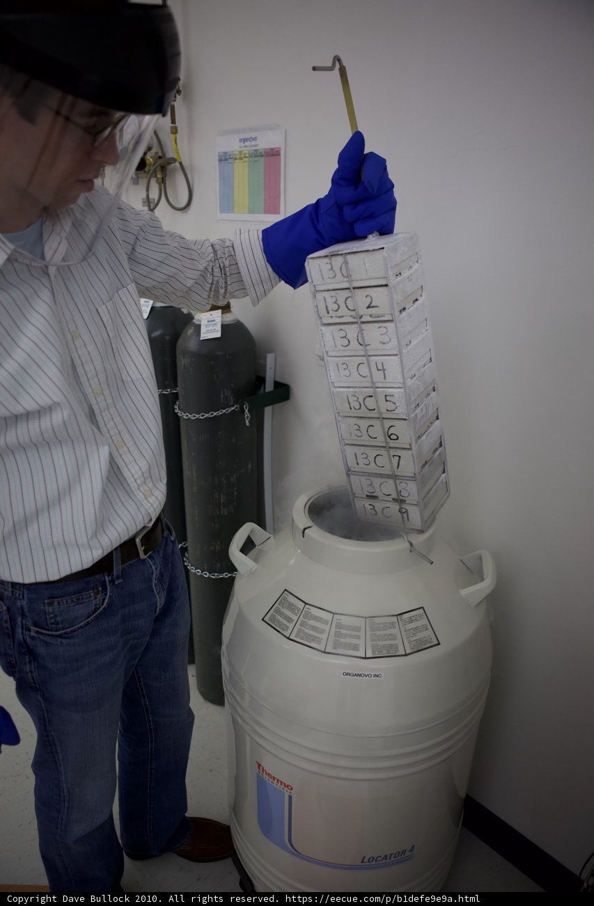 Scientific Research in Action