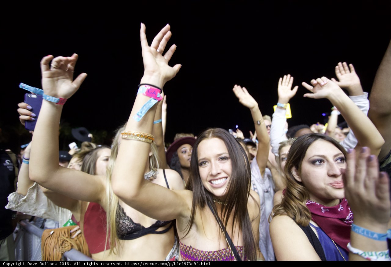 Party in the Crowd
