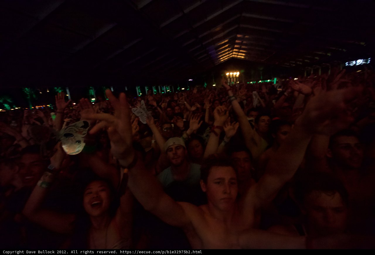 Hands in the Air at Coachella