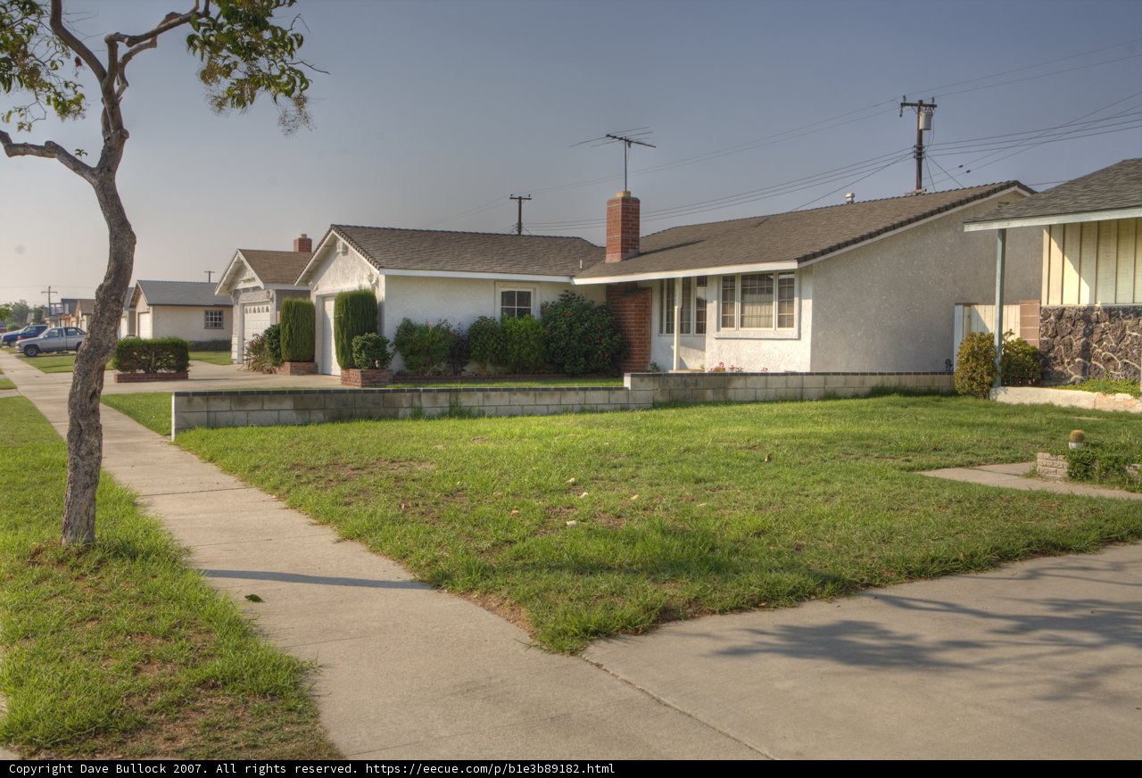 Serene Suburban Landscape