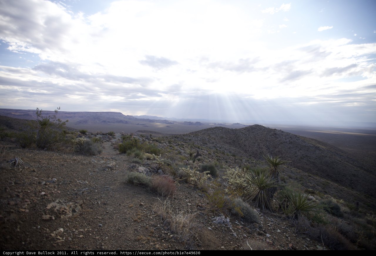 Majestic Mountain in Desert Wilderness