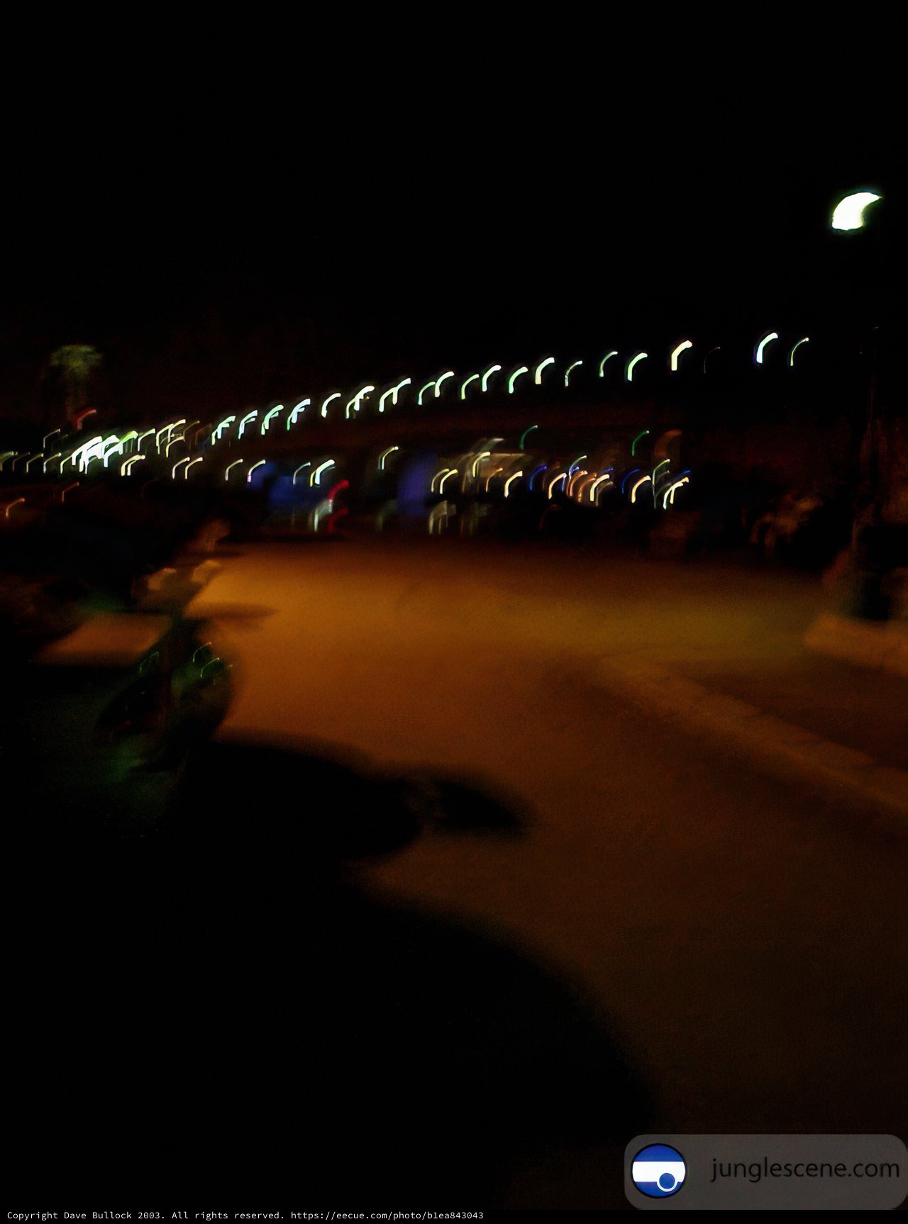 City Lights at Night