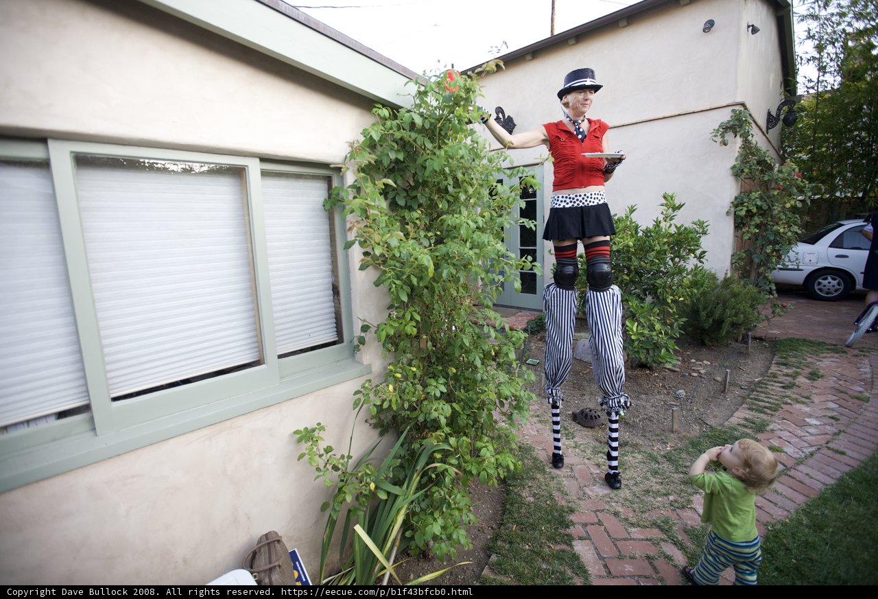 The Tall Man and the House