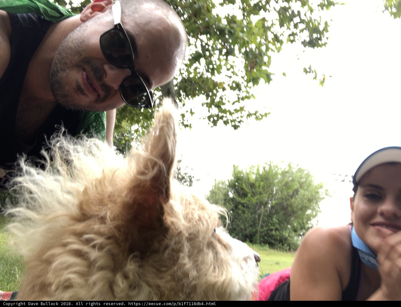 A Day in the Park with Denis, Dave, and their Pup