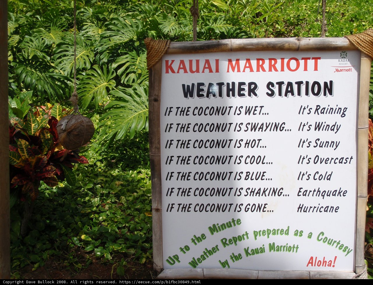 Kauai Weather Station Amid Lush Vegetation